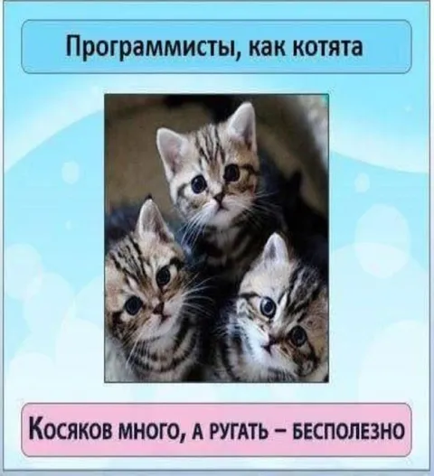 Программисты как котята