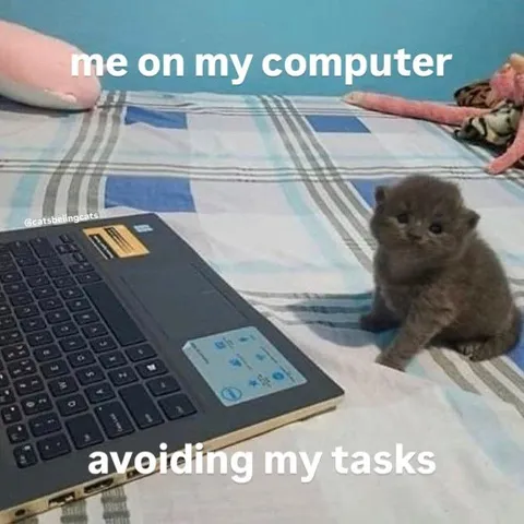 Kitten Avoiding Tasks