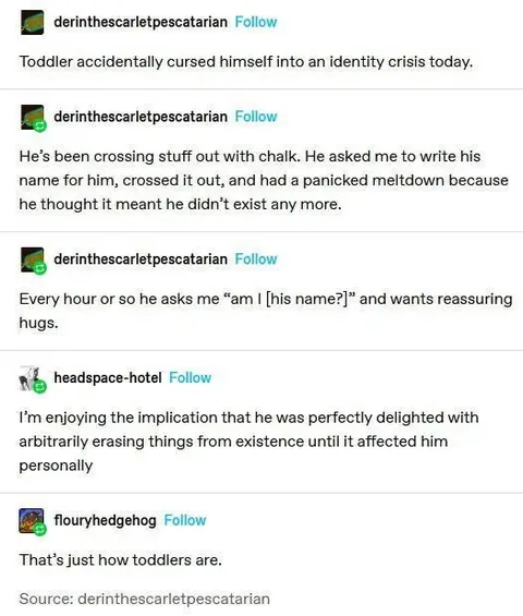 Toddler Identity Crisis