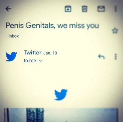 Twitter misses you email