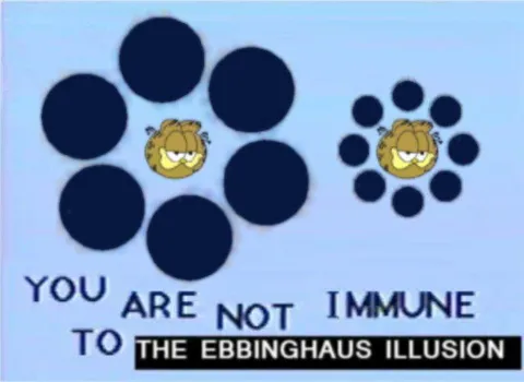You Are Not Immune to the Ebbinghaus Illusion