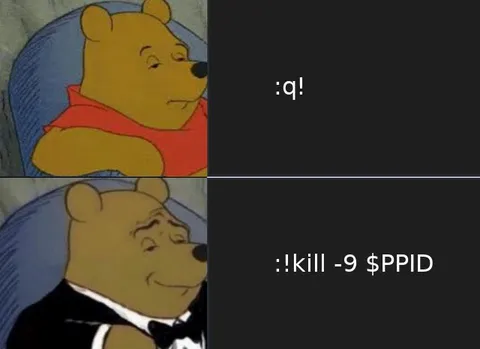 Winnie the Pooh Kills His Shell