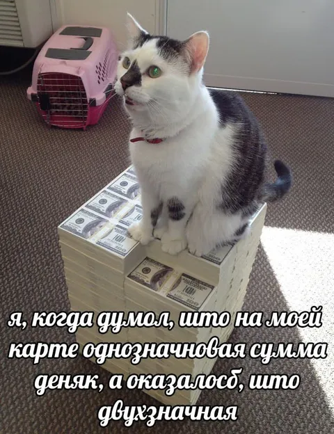 Когда денег оказалось больше