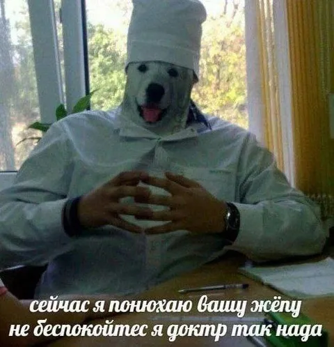 Доктор понюхает вашу жёпу