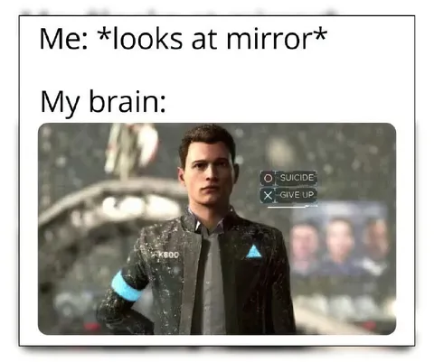 Looks at Mirror, Brain Gives Up