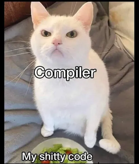 Compiler Cat and Shitty Code