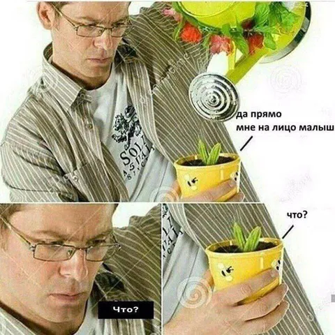 Да прямо мне на лицо малыш