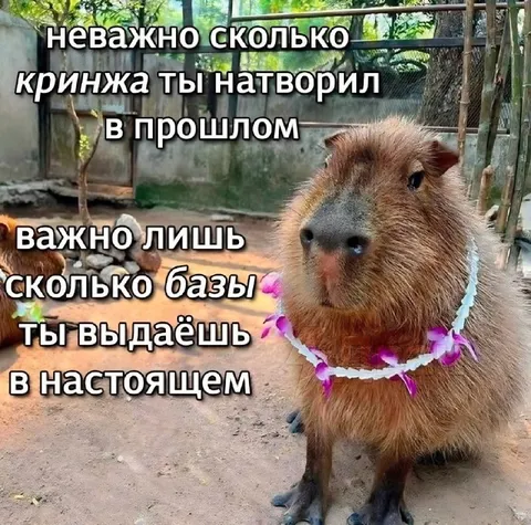 Капибара выдаёт базу