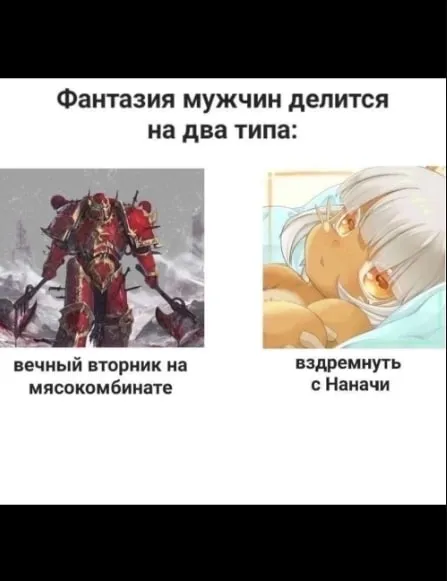 Фантазия мужчин на два типа