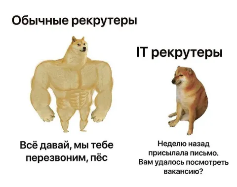 Обычные и IT-рекрутеры