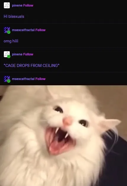 Bisexuals Meet the Screaming Cat