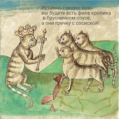Филе кролика и гречка с сосиской