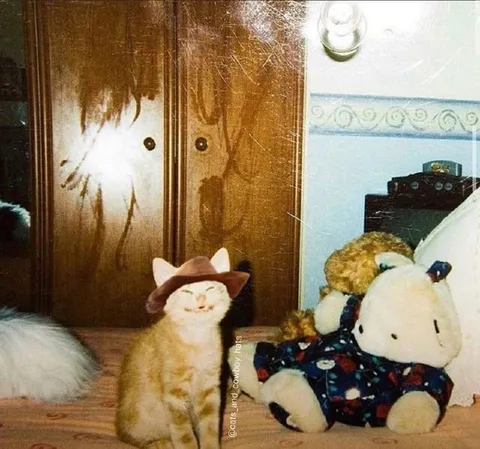 Кот-ковбой и плюшевый друг