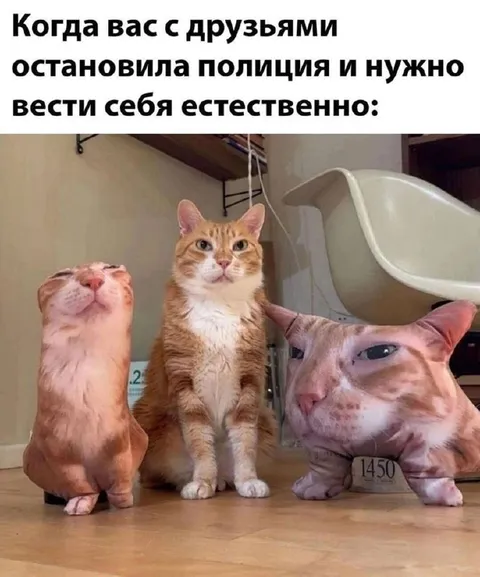 Естественно ведём себя с полицией