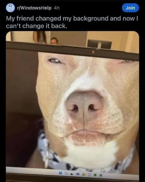 Friend Changed My Background