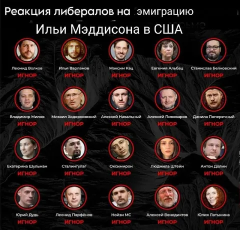 Реакция либералов на эмиграцию Мэддисона