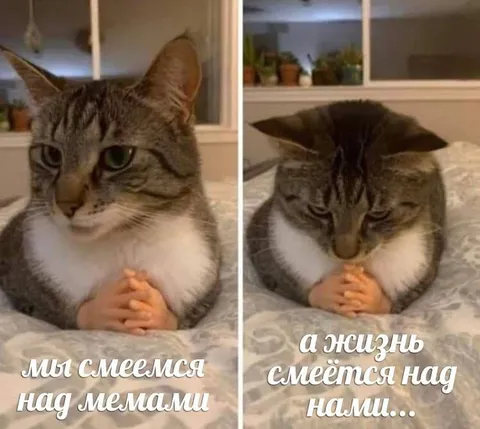 Жизнь смеётся над нами