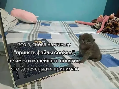 Снова принимаю файлы cookies