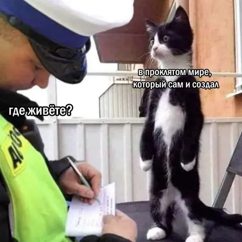 Кот в проклятом мире