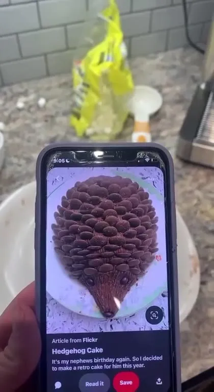 Hedgehog Cake Goes Horribly Wrong
