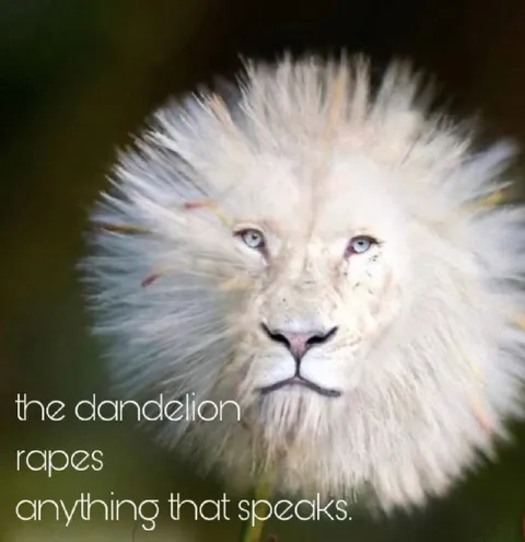 Dandelion Lion Rapes Anything