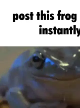 Post This Frog Instantly