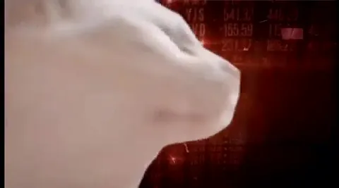 Кот танцует на падающем рынке