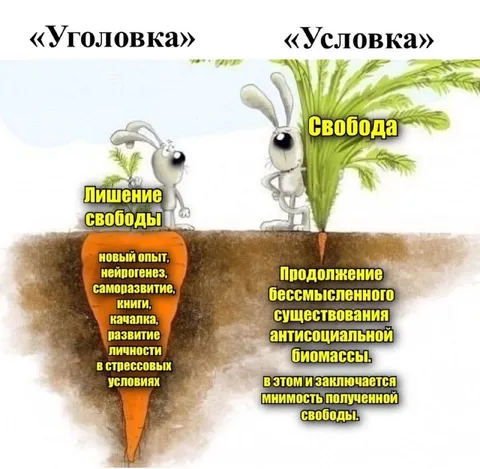 Уголовка или условка