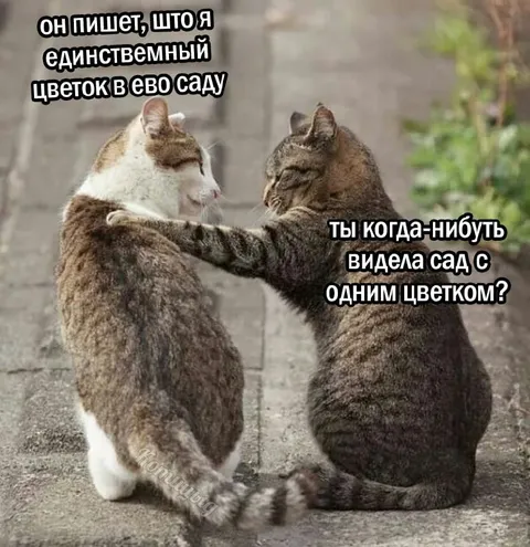Единственный цветок в саду