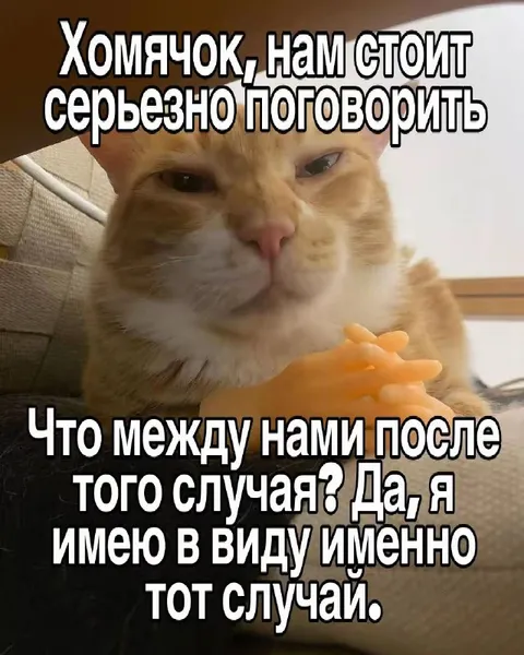 Хомячок, нам стоит поговорить