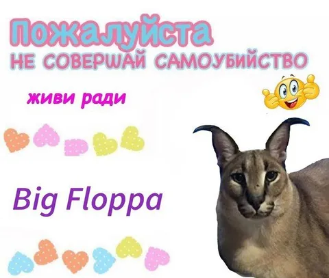 Пожалуйста, живи ради Big Floppa