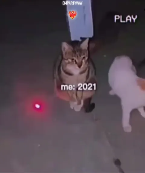 Me in 2017 vs 2021