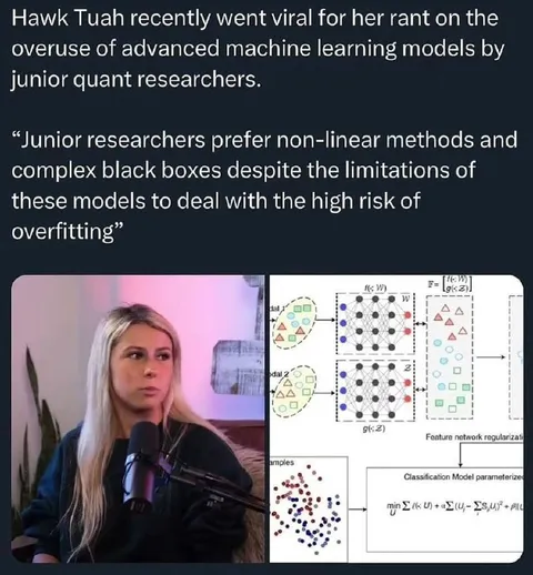 Hawk Tuah Explains Machine Learning
