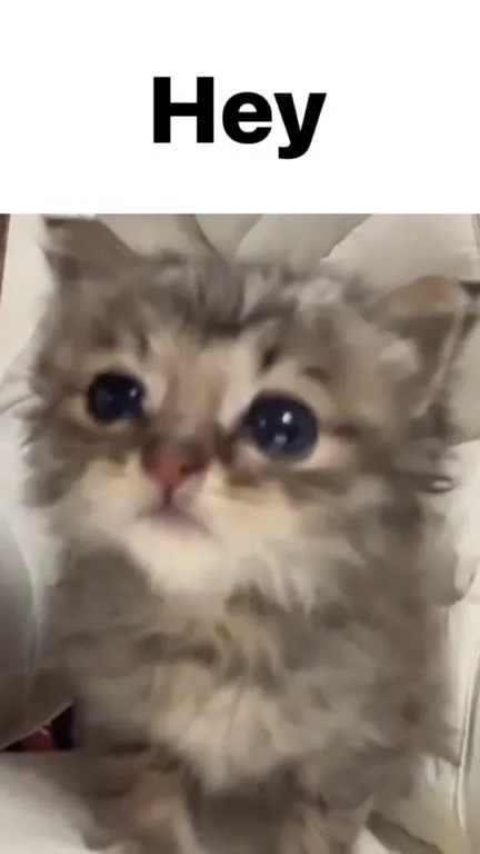 Hey, I’m Stealing Your Mom