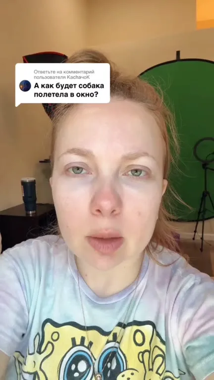 Собака полетела в окно