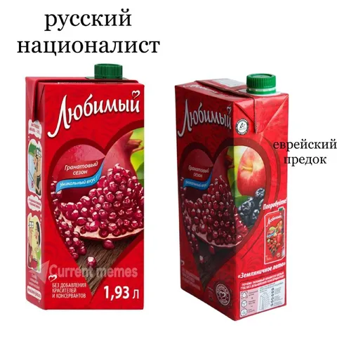 Русский националист и еврейский предок