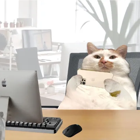 Кот работает за компьютером