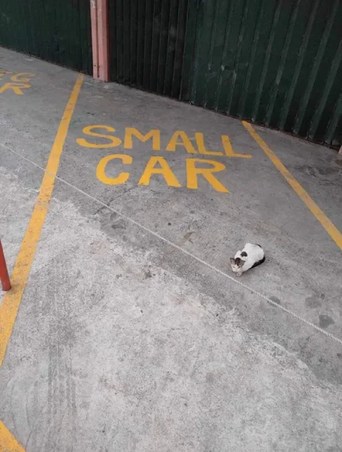 Small Car Parking Spot
