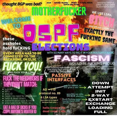 OSPF Fascism Configuration Meme