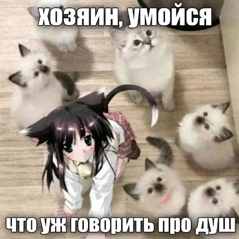 Хозяин, умойся