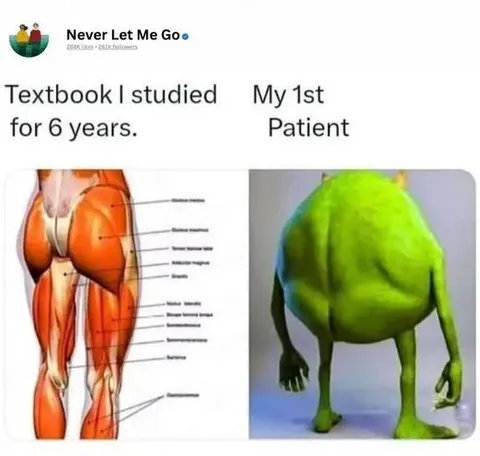 Six Years of Anatomy Practice