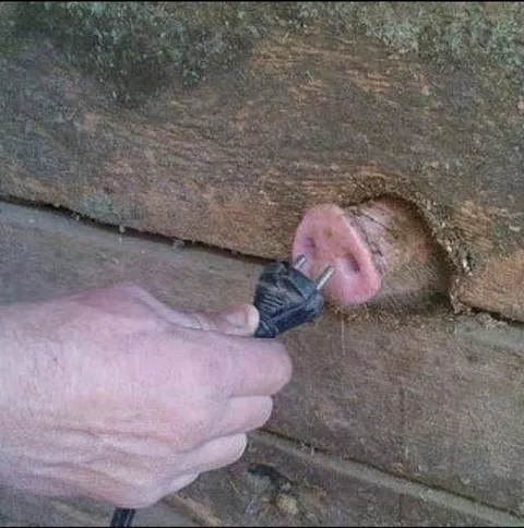 Тыкать неизвестное существо