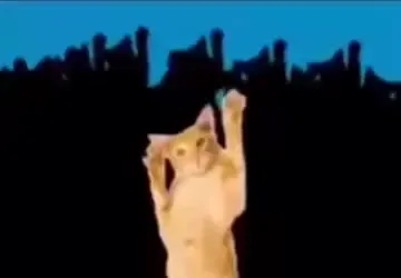 Cats Dancing to Phonk