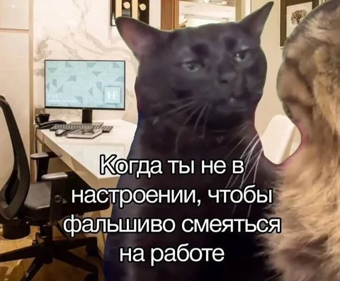 Когда не в настроении смеяться