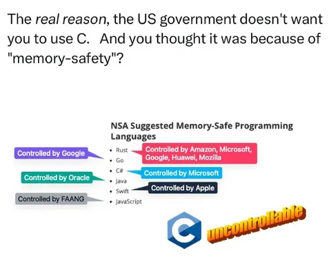 Why the US Government Hates C