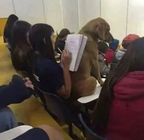 Обезьяна на уроке