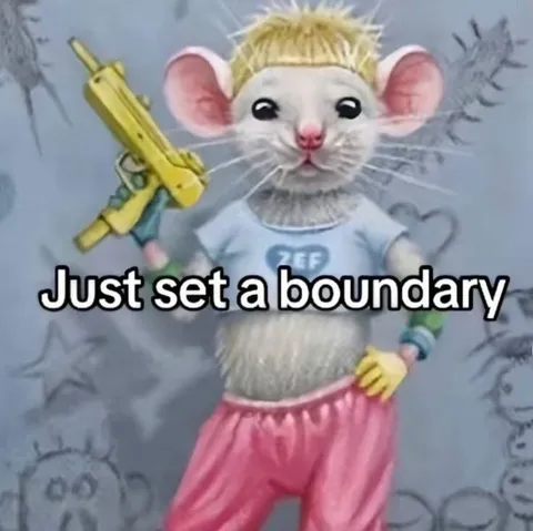 Just Set a Boundary Rat