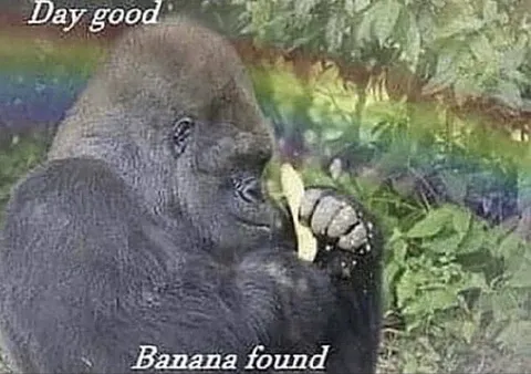 Day Good Banana Found