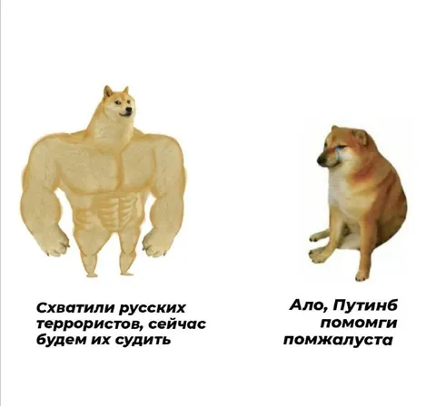 Схватили русских террористов