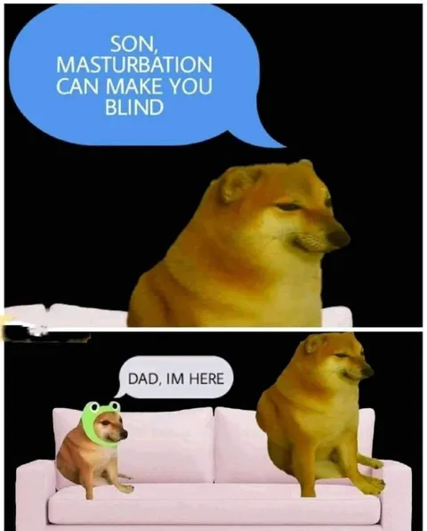 Doge's Blindness Warning